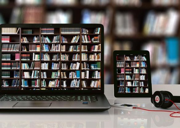 193600-bnifkzfmjd-1693309473