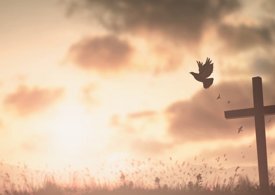 Happy man rise hand on morning view. Christian inspire praise God on good friday background. Now one man self confidence on peak open arms enjoying nature the sun concept world wisdom fun hope (Happy man rise hand on morning view. Christian inspire pr